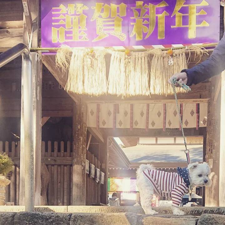 7a4fc9e5 d1ab 4325 ba3a 7ebbe5bba999 1642246823686