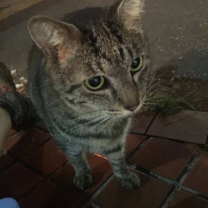 7a4fe12d 2a5e 42c0 869b 72d2c92a1825 1546201687501