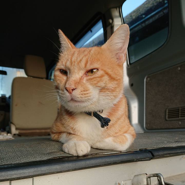 7a504462 d3a6 46a9 a035 2fdf57700b91 1564777287973