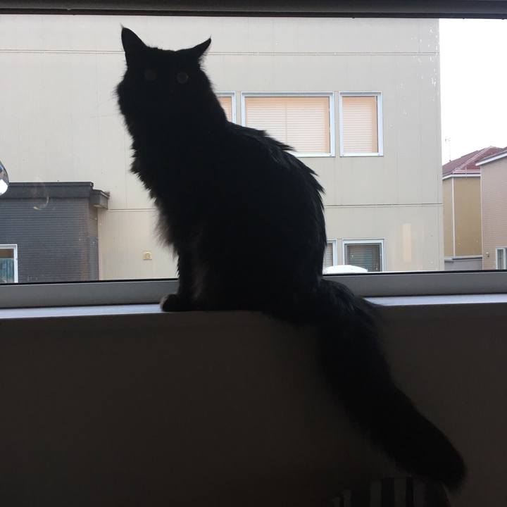 7a504b19 ab78 47c2 9d76 8201da409ce3 1525315533281