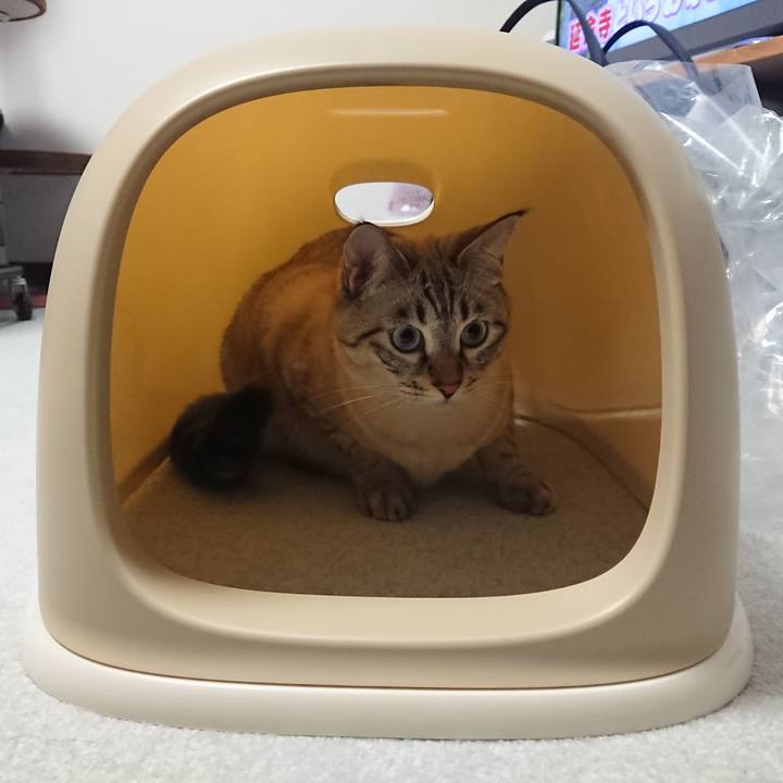 7a50703c a987 4d62 b9f3 e18fc7059d5a 1540983216287