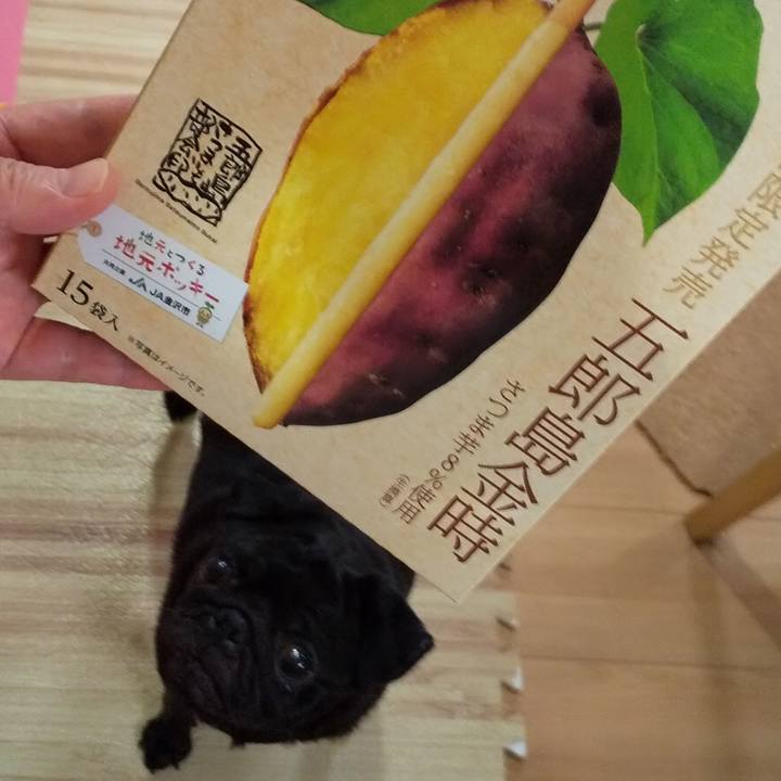 7a507ff3 ba30 4f88 a376 741cdd7ece65 1598437877136