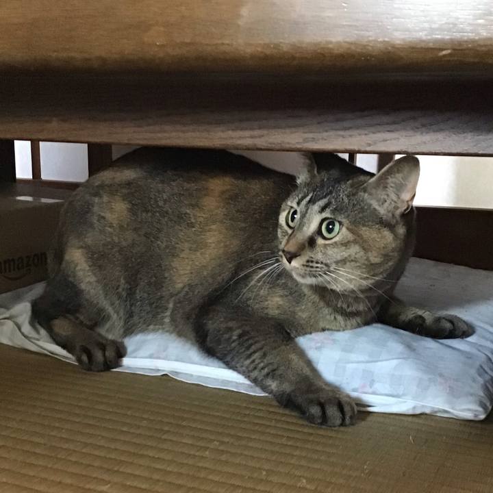 7a50b796 05f3 4a5e ad89 3f3810dcd903 1627702931763