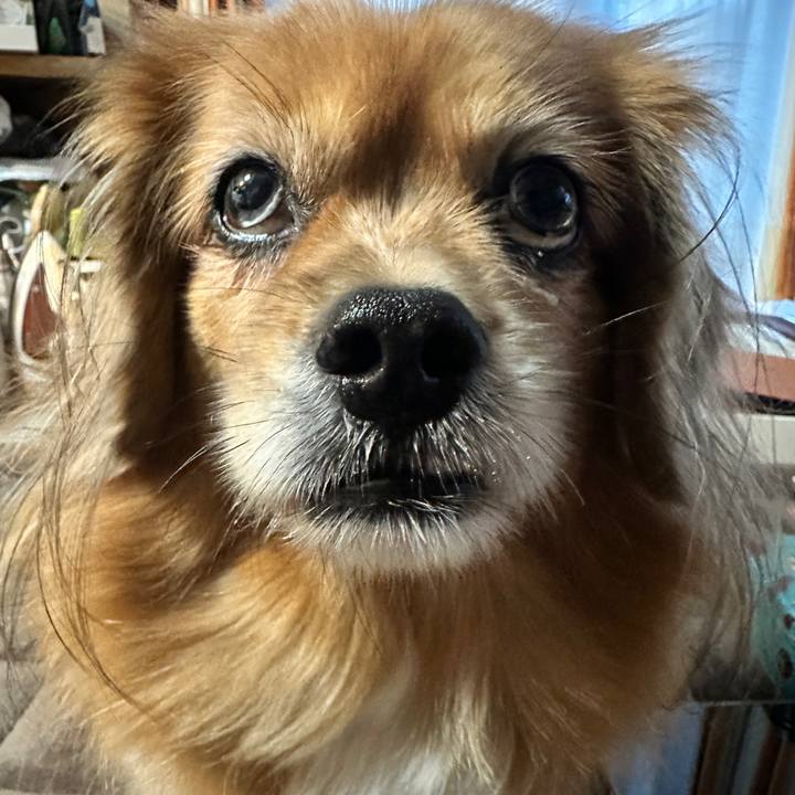 7a50bca6 a581 47d3 a694 2c08e4519efb 1762723778959