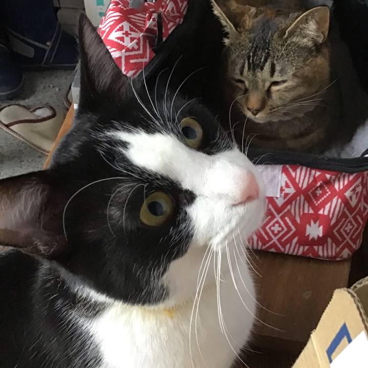 7a50cddd c9b1 476f bf27 0e8d9a8b3e0c 1647681588132