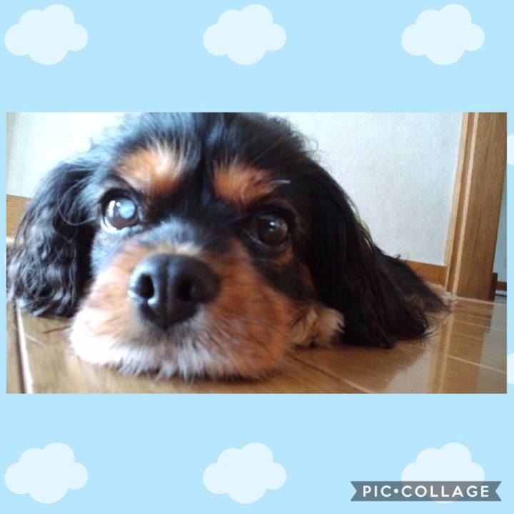 7a50cfb6 f691 49ad 99a8 232969ed5535 1559210965491