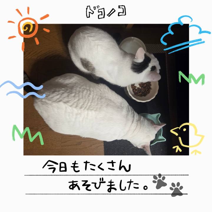 7a50d84c d9f9 41a7 ba7d 9b76ad1cca64 1755083947368