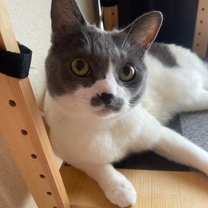 7a50f687 57b0 4bfb ba05 b6c1df3eca91 1752018388162