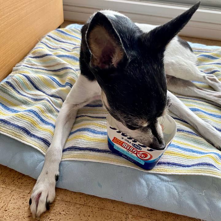 7a510e70 8527 4e7f a689 ff15bd09141f 1629328500834