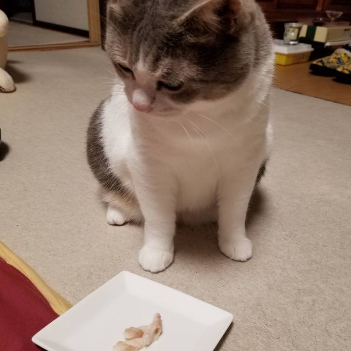 7a5116b6 b8cc 46a8 b4b3 52035c6d6b43 1654096463472