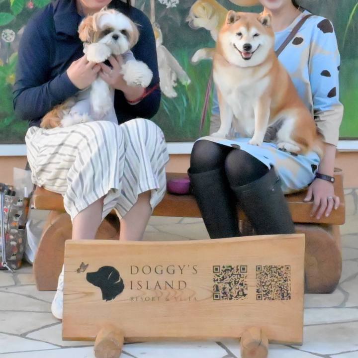 7a511a40 5b93 469a b56c edafdcd28600 1634392512821