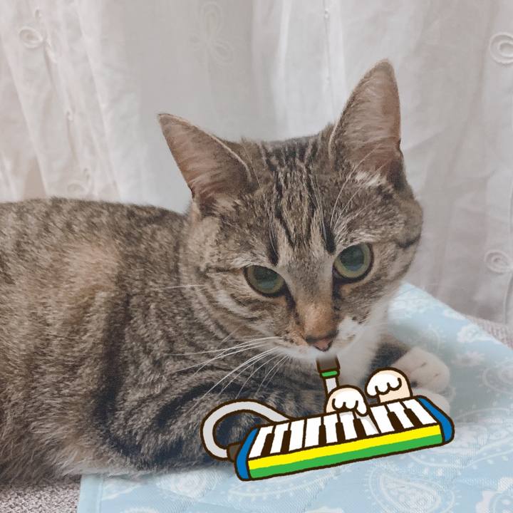 7a512a80 b558 4f66 86f6 b81e59d82a8c 1566832291356