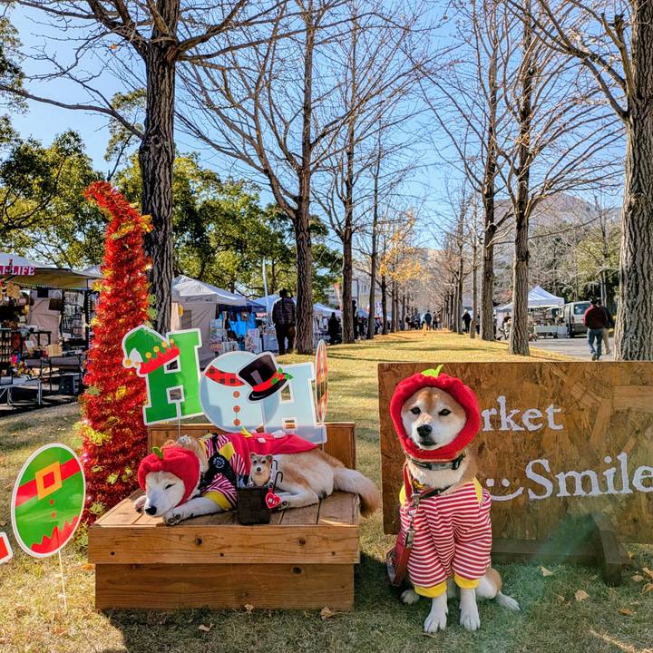 7a51363f 81f9 4059 a3ae 413f5a05ad30 1764993114772