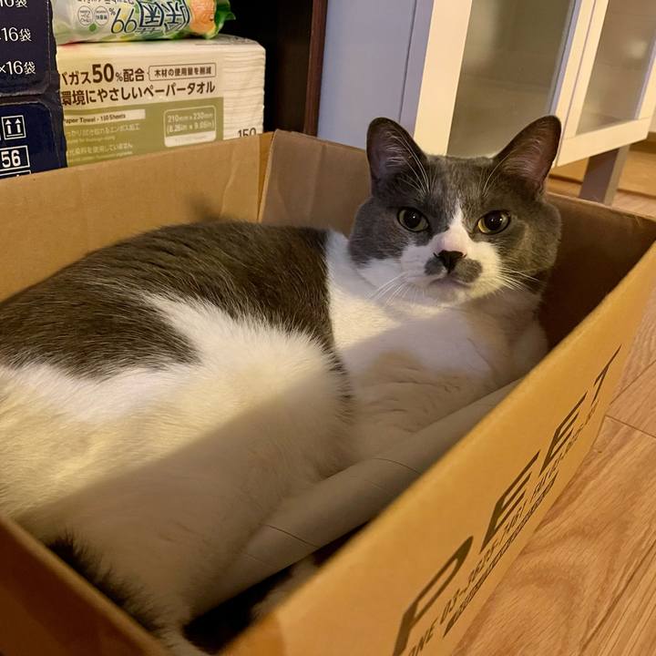 7a513954 b63f 4bcb 97c0 3383be23b7b8 1661689630001