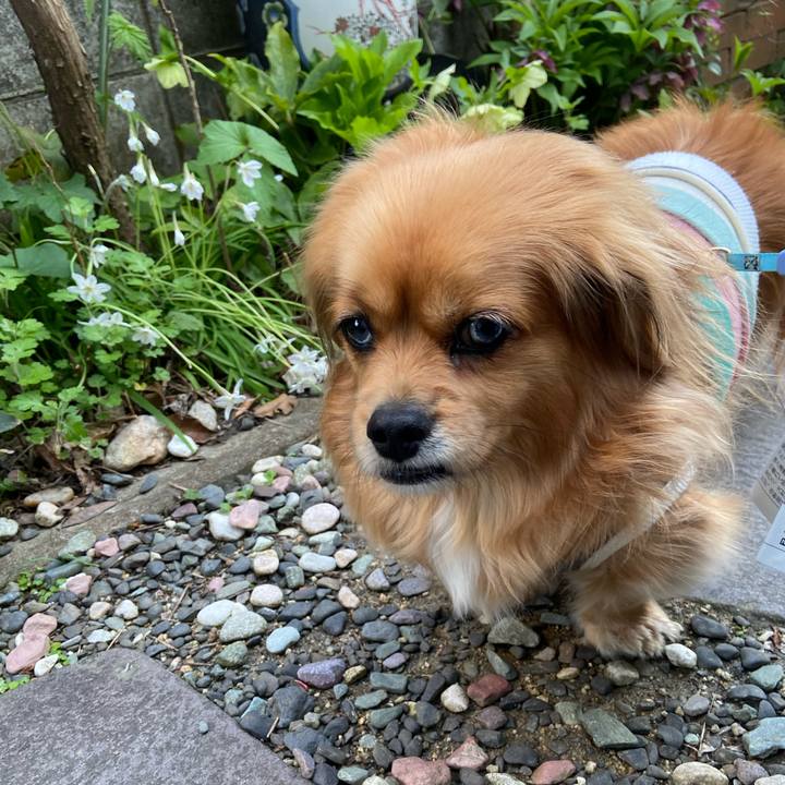 7a513a24 7a24 4a00 9c8b b2214215d805 1617831798866