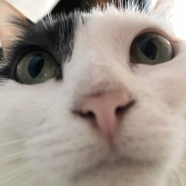 7a513bd1 b63b 4be0 862d ba6cebdbaeed 1537237563215