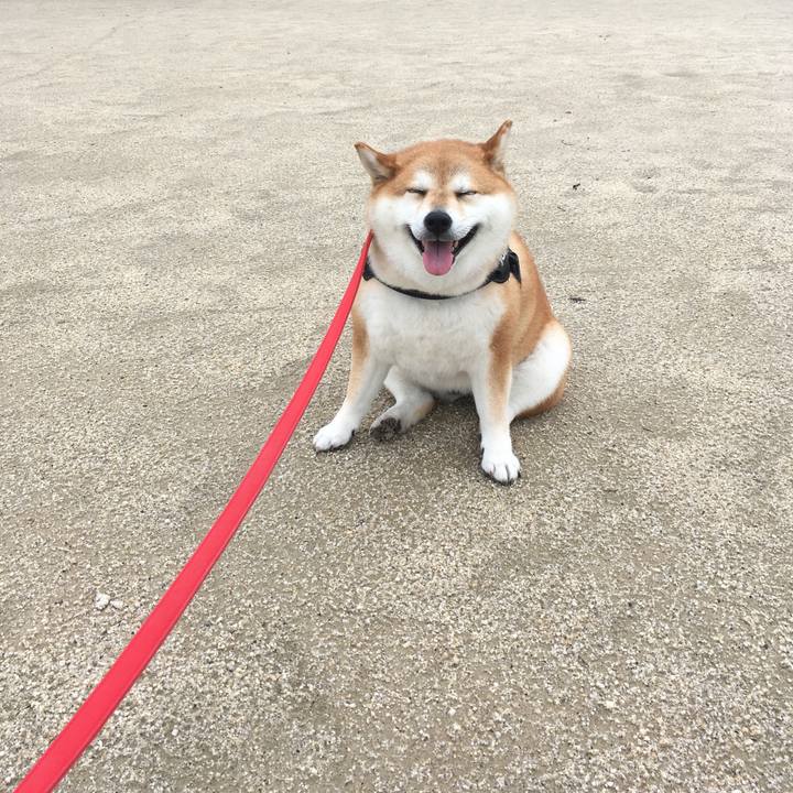 7a51409b e628 4b9d 9972 27443872860a 1594261825915