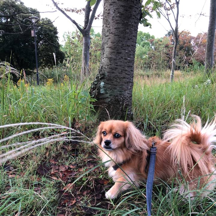 7a514458 0ccb 4e0a a691 ac99bad6032b 1572475261897