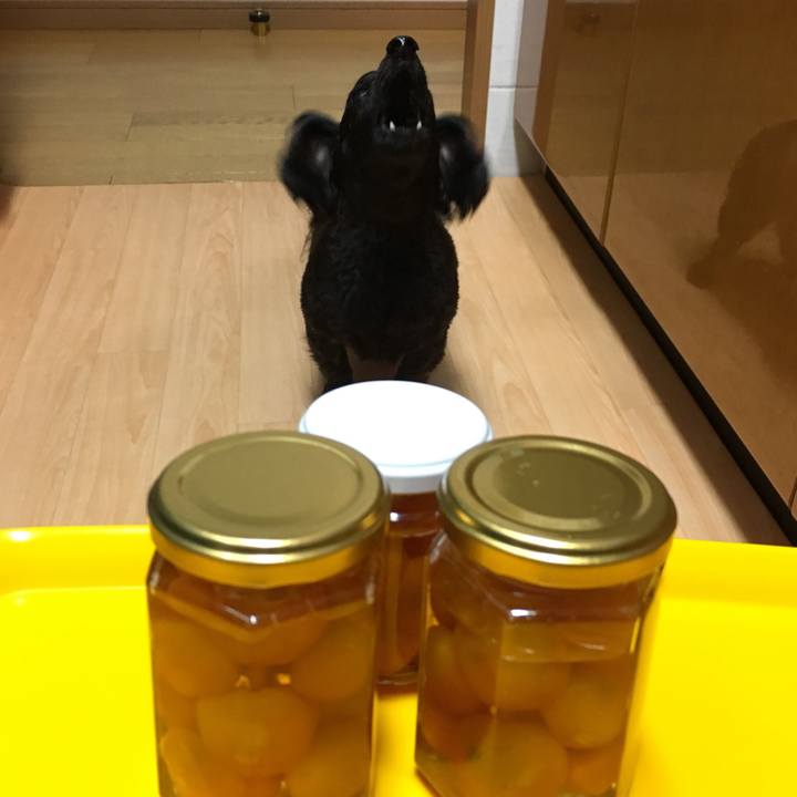 7a516128 1c7e 433a 8914 d43335911f35 1548578755800