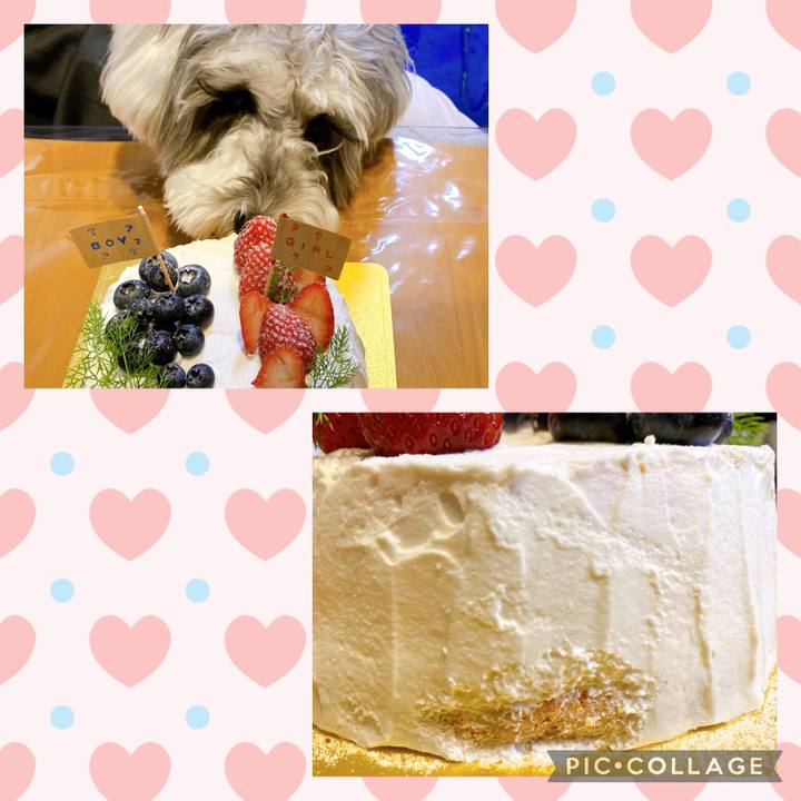 7a51629e 774b 4b3e 88f1 816c6473f3e9 1642266686325