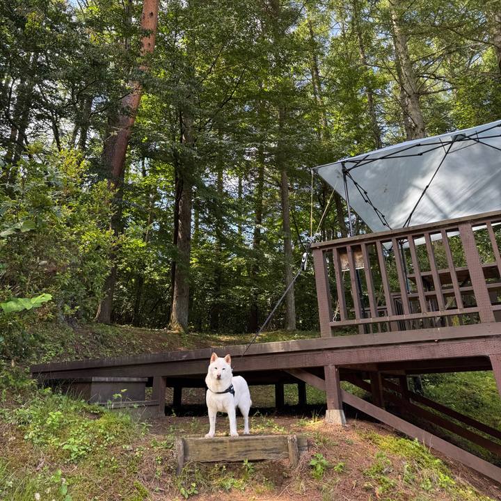 7a5185cd 8764 4cd4 98fa 3fb0bc24b159 1752973618756