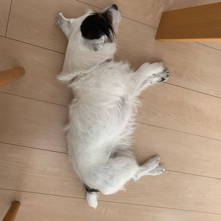 7a51890d 8559 4dcb a24f 3d0702a4d6d4 1552883452024