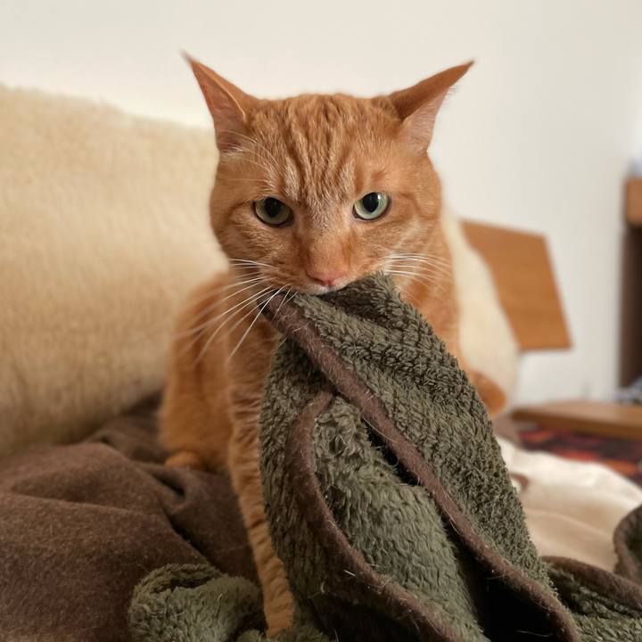 7a51b960 caba 440c 9737 7ff3adf15863 1681390421245