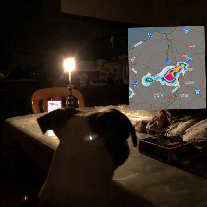 7a51ddcd f650 4f7a b50d 28463c234fbc 1565007219916