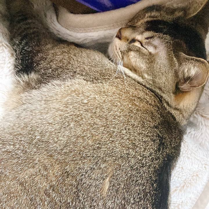 7a51fdac dc97 497a 8088 7d417f085b4f 1743692391416