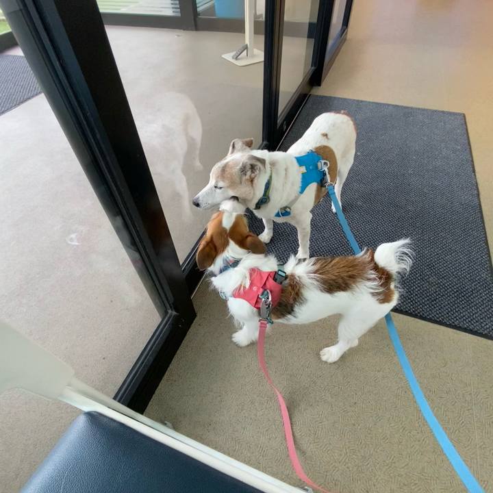 7a5223ec 449f 41b4 af6d d121076ac059 1688908545940