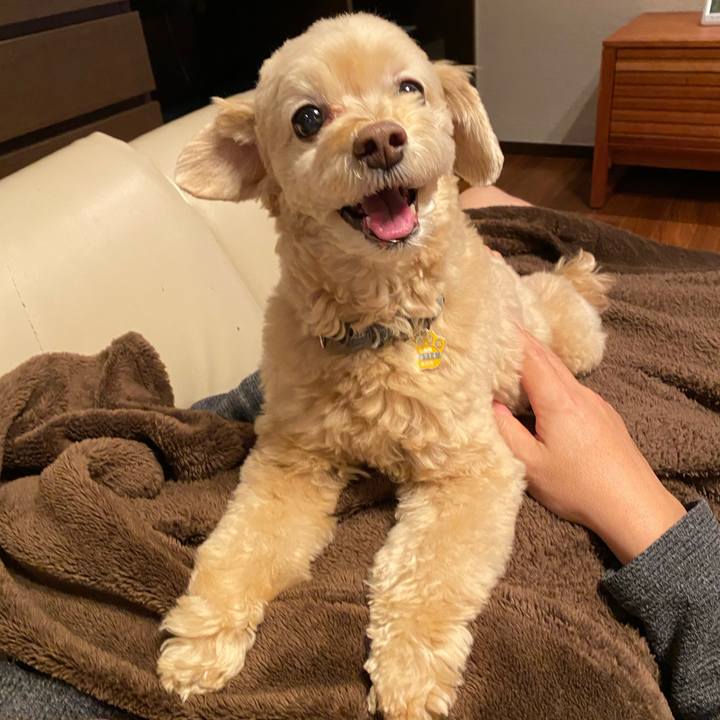 7a5293c7 ae2a 49b3 ac24 7e603fcd9dd8 1576154737114