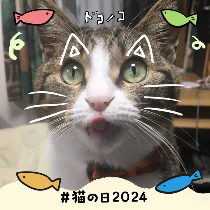 7a52b5da f760 477a b5e5 4b3b0bced99a 1708601306428