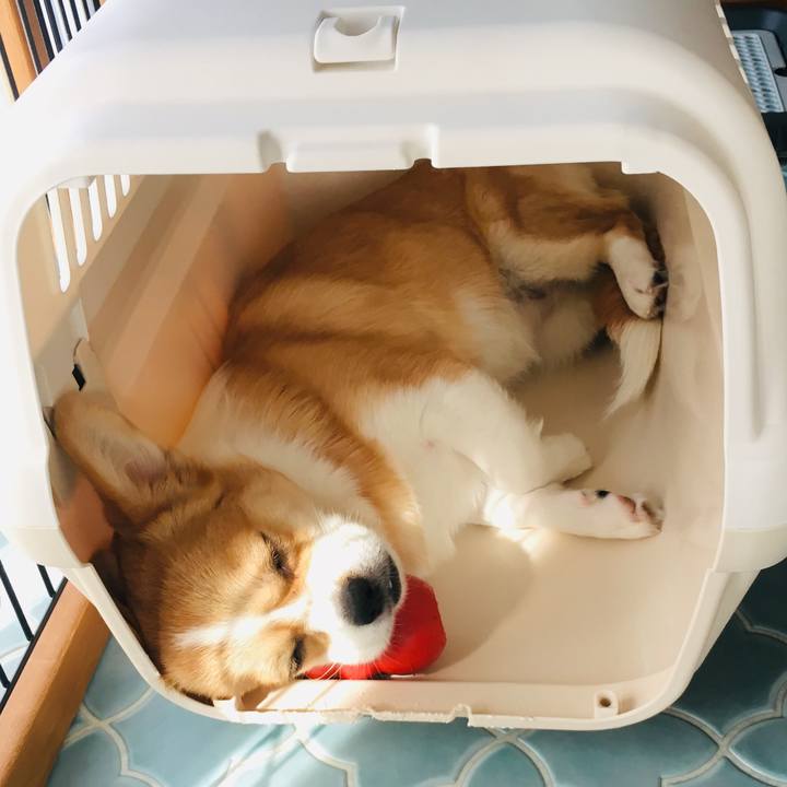 7a52cd82 a07a 4c12 9d10 cb6c7d752d68 1572657844448