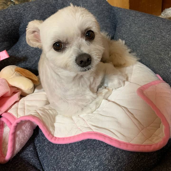 7a52f385 779f 43fa a72d b1139af7f651 1631617185495