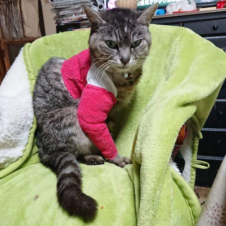 7a5315bb 2ff8 4980 bd27 2e1b32fc5244 1586728200828