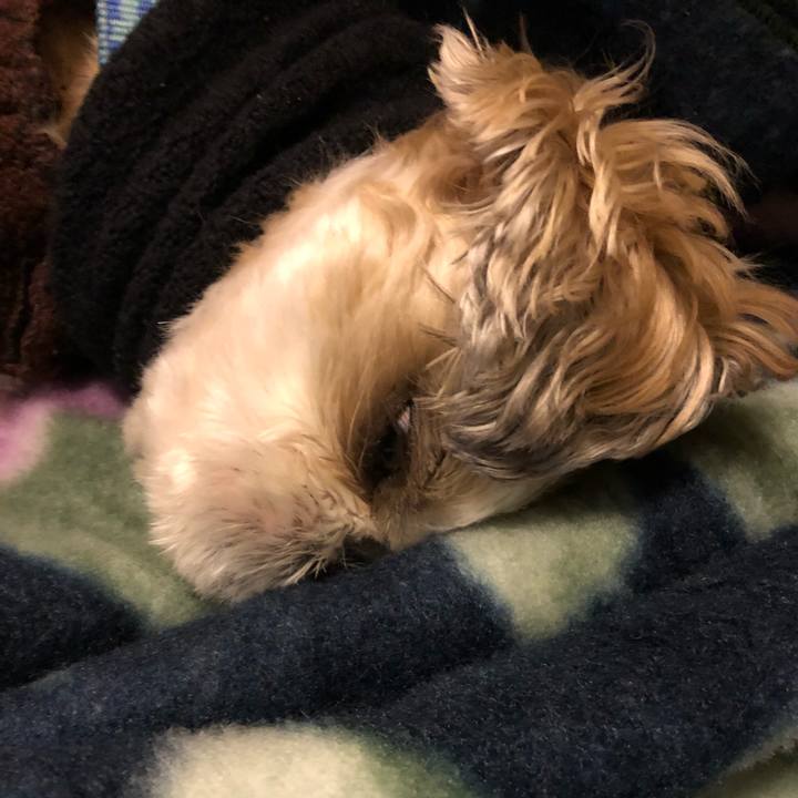 7a5369dc 278d 4f43 9208 a1e10ff7058b 1578952804871