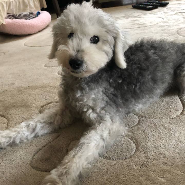 7a5387a3 1e8a 4a2e 9300 a225fbc11551 1663630923029