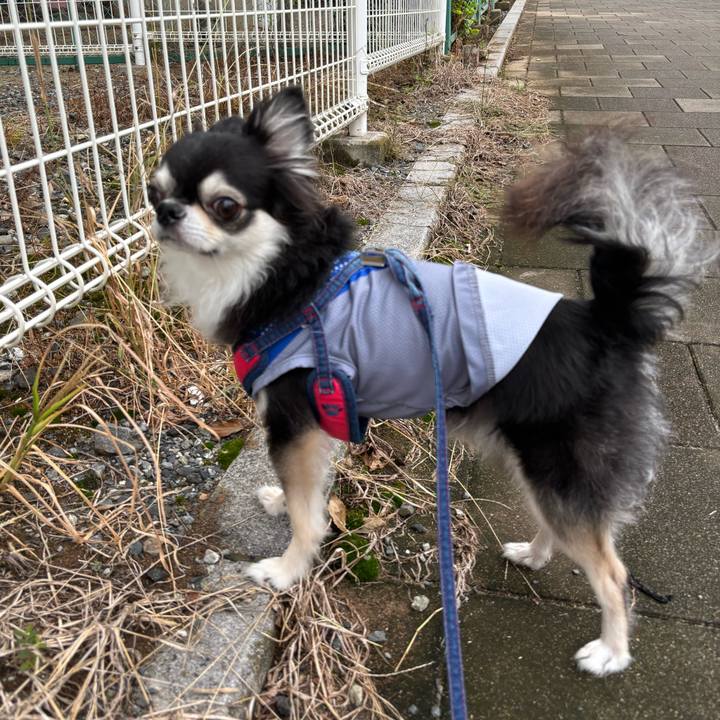 7a53916f d4a7 42a0 8aa0 116cff4fd8a3 1728231122210