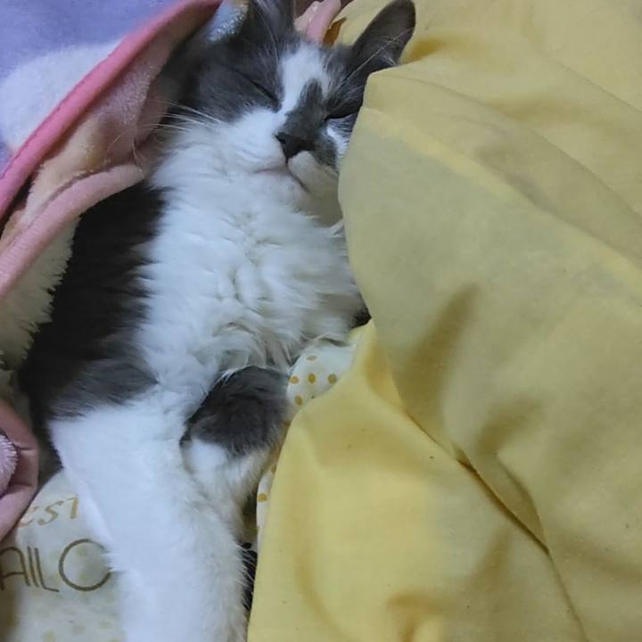 7a53a845 6386 4f0d 83fc 50932bae5dce 1577877871916