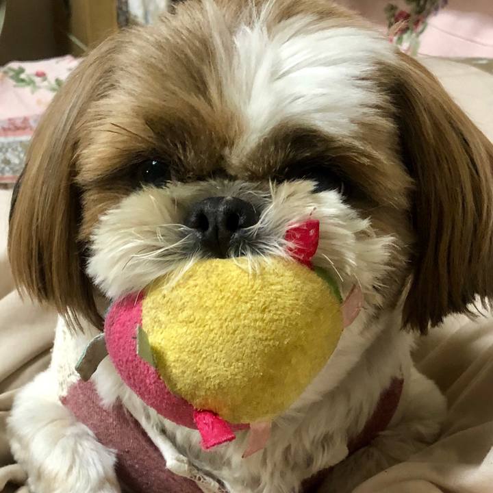 7a53b6a0 1528 4814 bcc7 401dbe730873 1524906536898