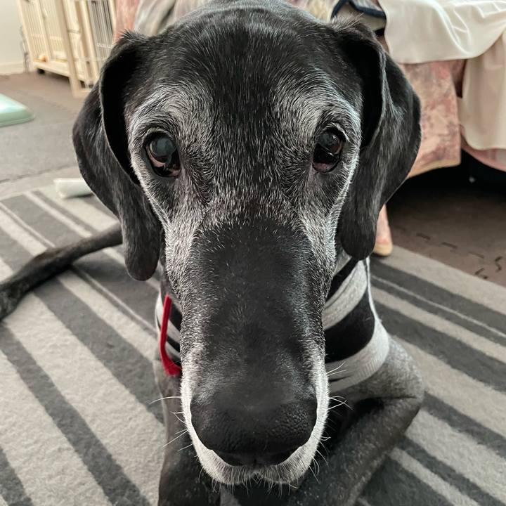 7a541ec9 d488 4568 8dab 5bff72b377c3 1650410261326