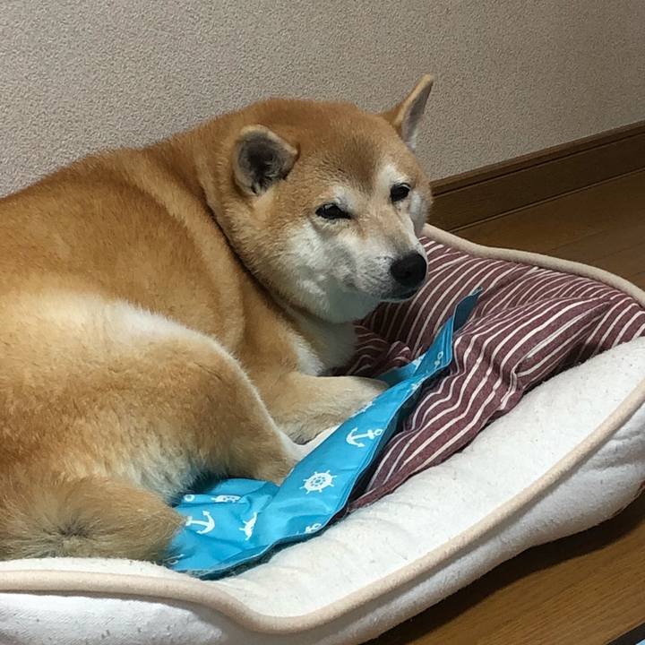 7a546009 29ff 4895 acca 1a6ed73cc419 1570602880734