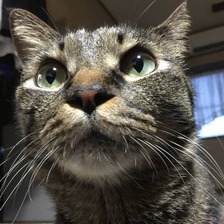 7a5462a2 110a 429e 997e bd0e5971af48 1530007972463