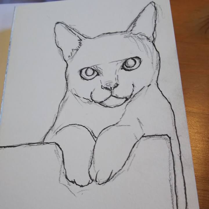 7a5480dd a6d3 4541 bb29 8c7d961bec62 1581148724556