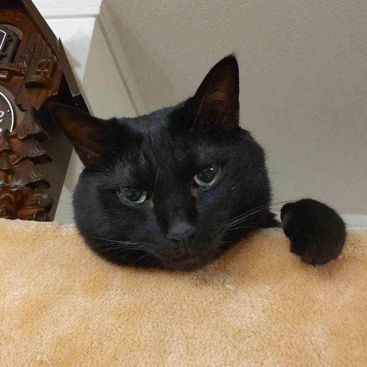 7a5496b4 2fe5 4841 b5b5 6b1e4daea02f 1759984518536