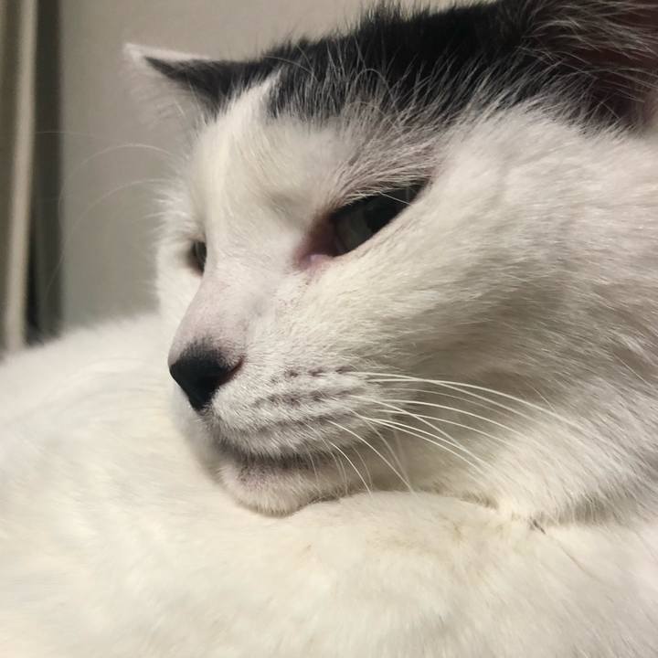 7a54a654 ed1d 4b4c 93a8 8aec23d03678 1582726771251