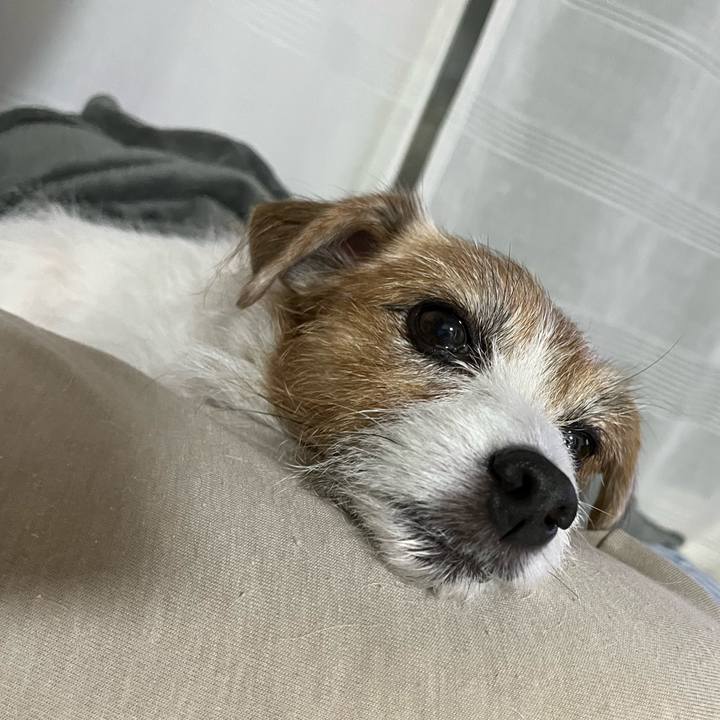 7a54a67f 6750 4e4f 8ef2 a814d71a56d6 1704357117190