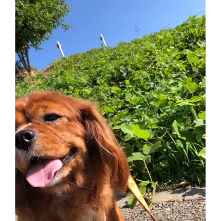 7a54e4ea 388e 4c8a 8005 5225f2859d30 1600646099587