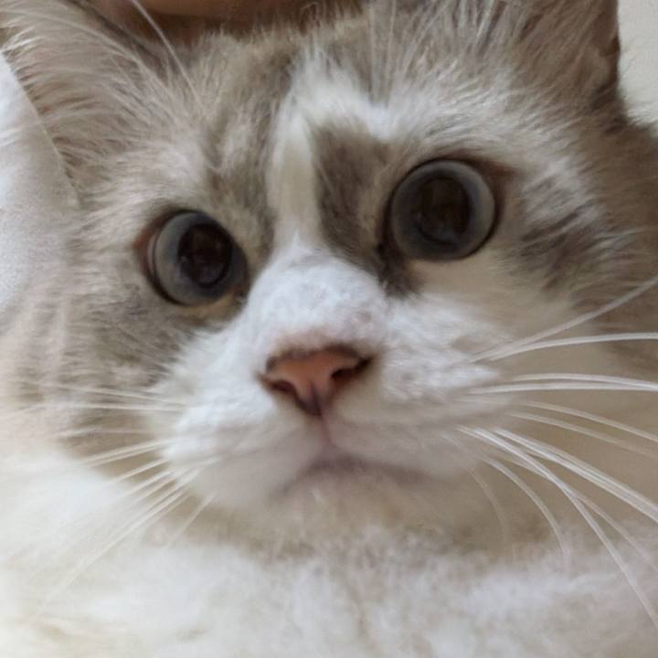 7a5514b5 8584 428e 8ec3 e2829251f415 1790976403246