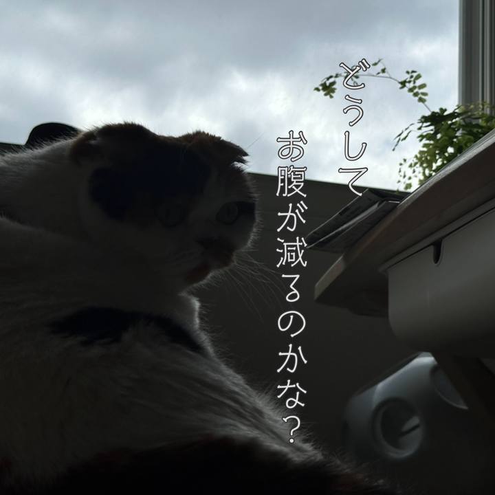 7a5522b0 c316 492c 83b7 8b23d1809730 1716282465793